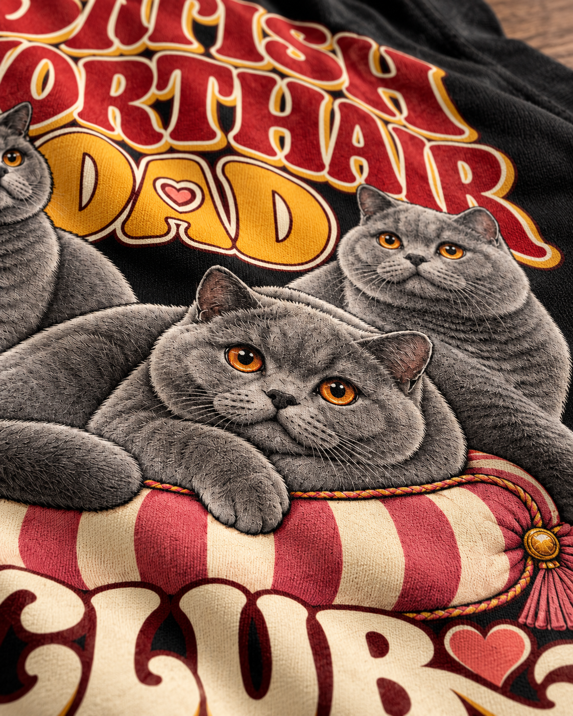 Gros plan — british-shorthair-dad